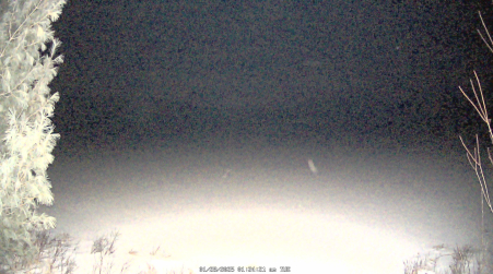 Image from 2025-01-28