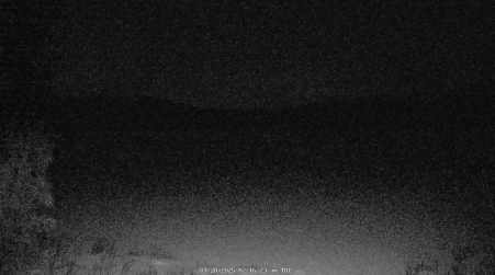Image from 2025-01-28