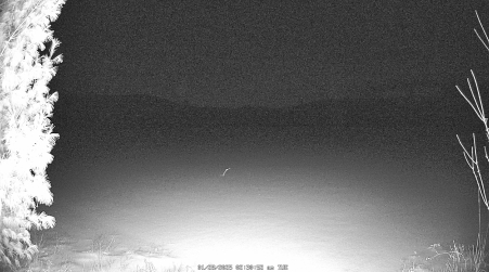 Image from 2025-01-28