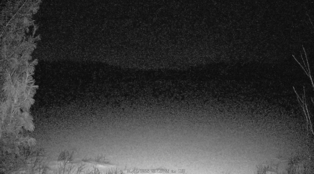 Image from 2025-01-28