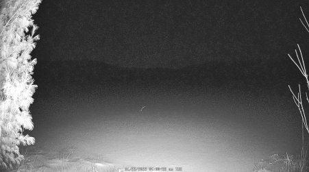 Image from 2025-01-28