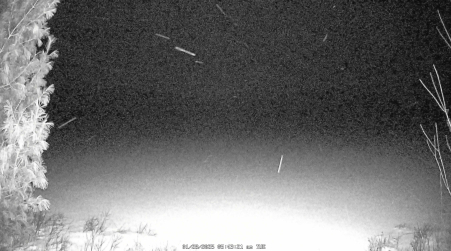 Image from 2025-01-28