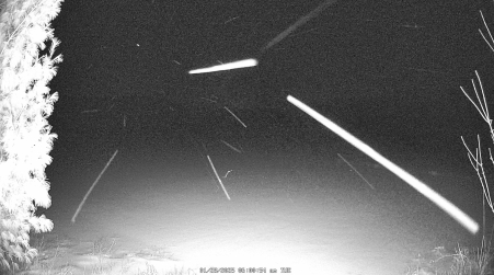 Image from 2025-01-28