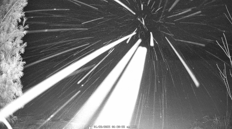 Image from 2025-01-28