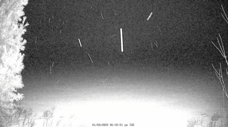 Image from 2025-01-28