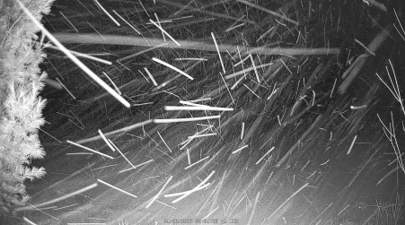 Image from 2025-01-28