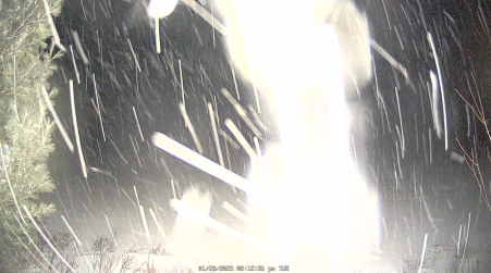 Image from 2025-01-28