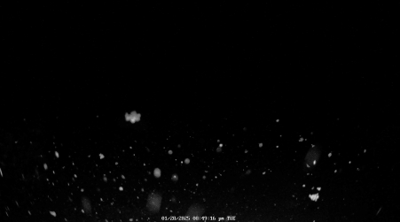 Image from 2025-01-28