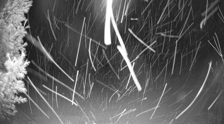 Image from 2025-01-28