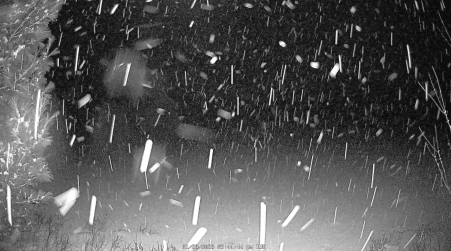 Image from 2025-01-28