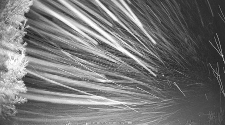 Image from 2025-01-28
