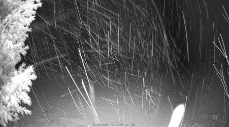 Image from 2025-01-28