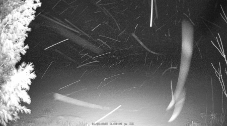 Image from 2025-01-28