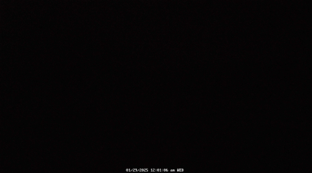 Image from 2025-01-29
