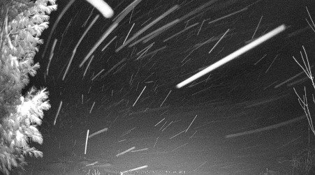 Image from 2025-01-29