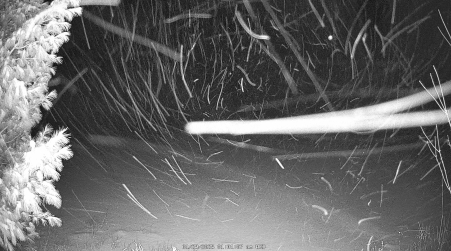 Image from 2025-01-29