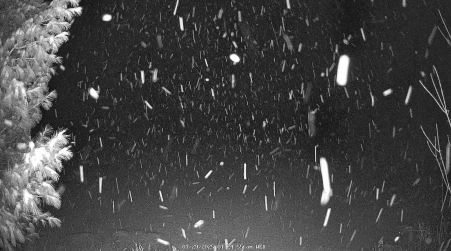 Image from 2025-01-29