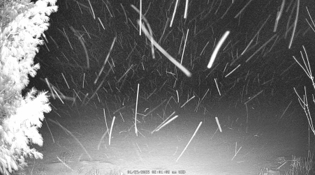 Image from 2025-01-29