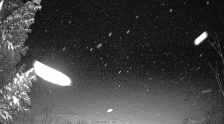 Image from 2025-01-29