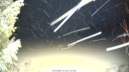 Image from 2025-01-29