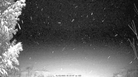 Image from 2025-01-29