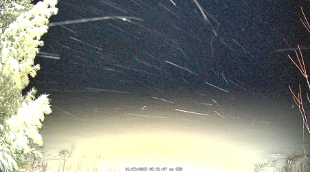 Image from 2025-01-29