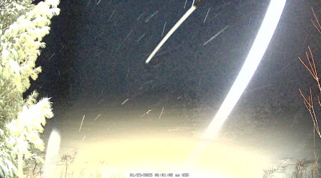 Image from 2025-01-29