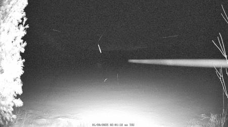 Image from 2025-01-30