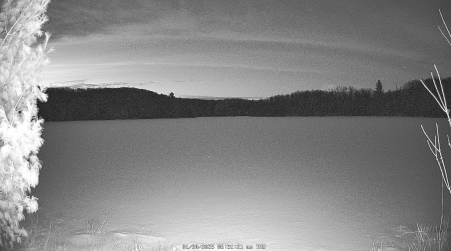Image from 2025-01-30