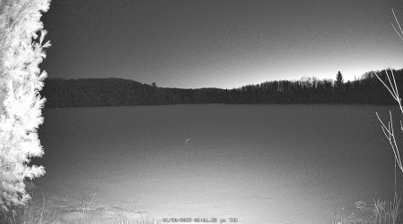 Image from 2025-01-30