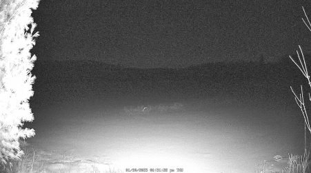 Image from 2025-01-30