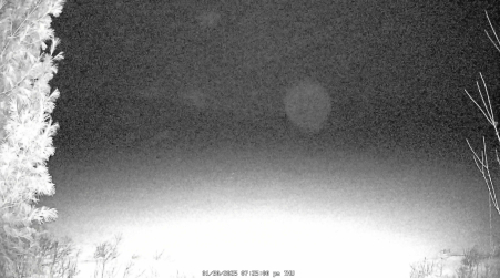 Image from 2025-01-30