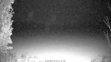 Image from 2025-01-30