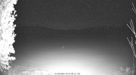 Image from 2025-01-30
