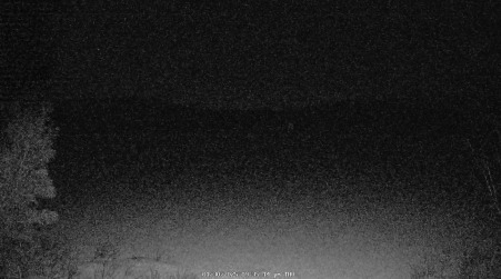 Image from 2025-01-30