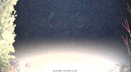 Image from 2025-01-31