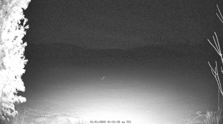 Image from 2025-01-31