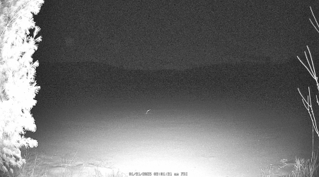 Image from 2025-01-31