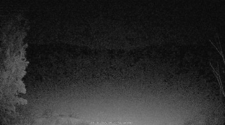 Image from 2025-01-31