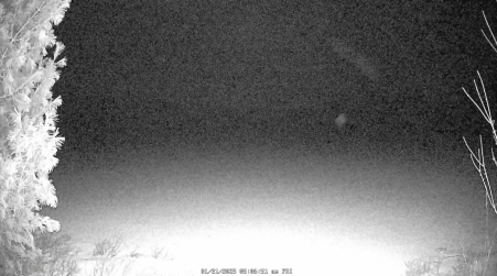 Image from 2025-01-31