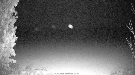 Image from 2025-01-31
