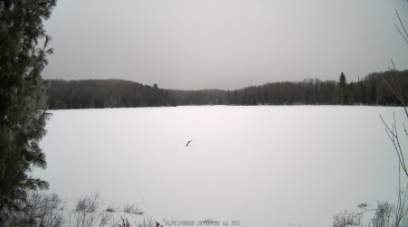 Image from 2025-01-31