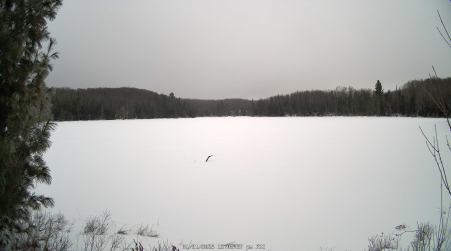 Image from 2025-01-31