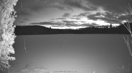 Image from 2025-01-31