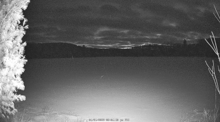 Image from 2025-01-31