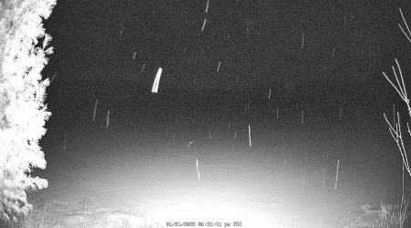 Image from 2025-01-31