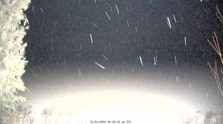 Image from 2025-01-31