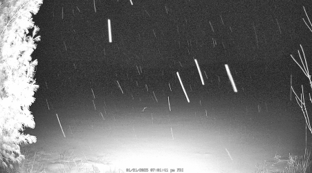 Image from 2025-01-31