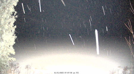 Image from 2025-01-31
