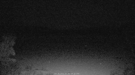 Image from 2025-01-31